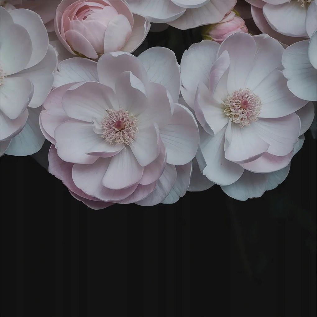 Divatos 3D Fali Tapéta Finom csokor 250x250 Ragasztóval