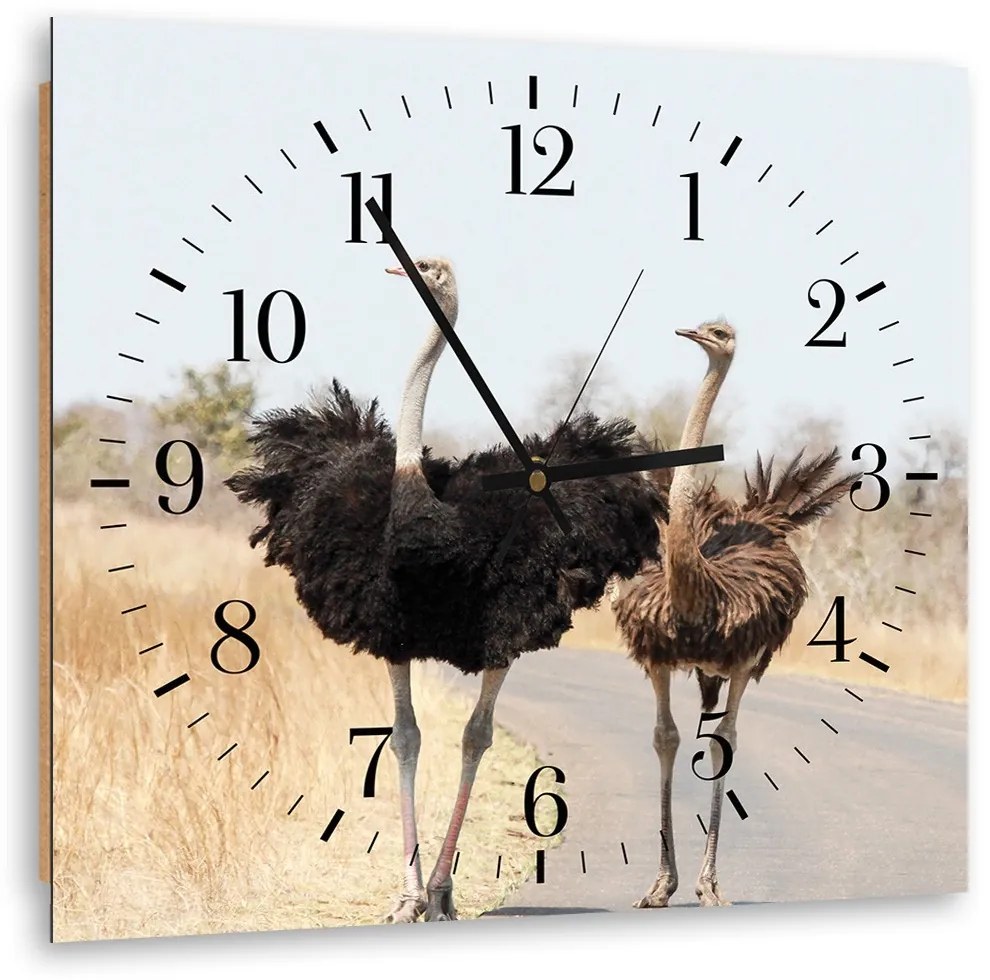 Gario Falióra Két strucc Méret: 80 x 80 cm