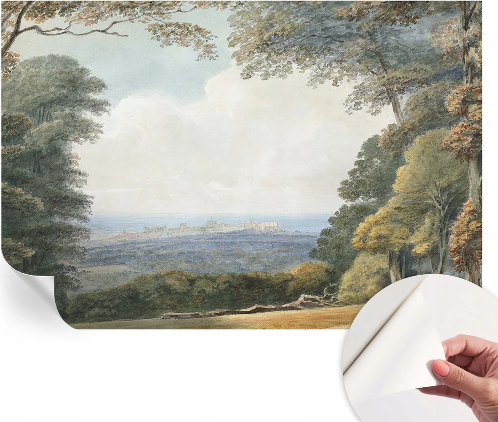 Fotótapéta Öntapadós tapéta a szobába Erdő táj 152x104 cm