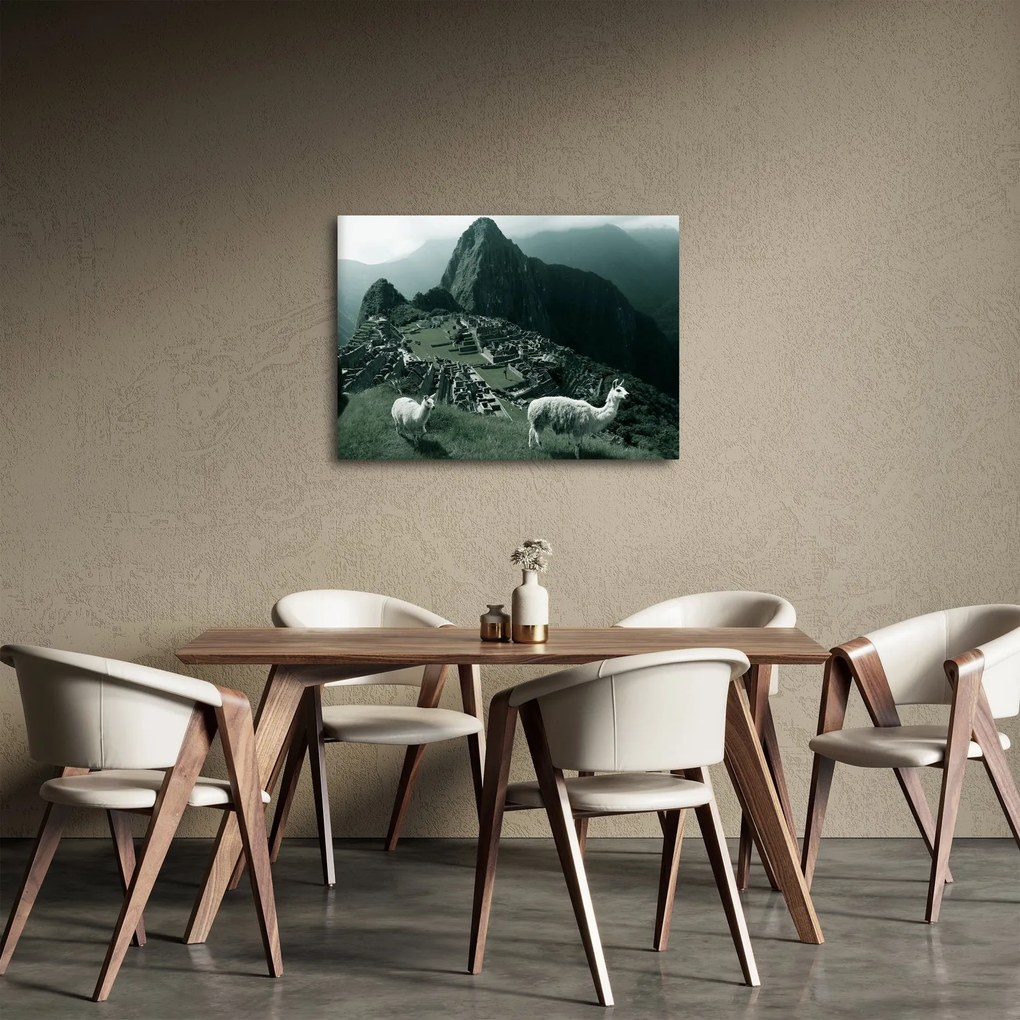 Kép - Lámák a perui Machu Picchunál (70x50 cm)