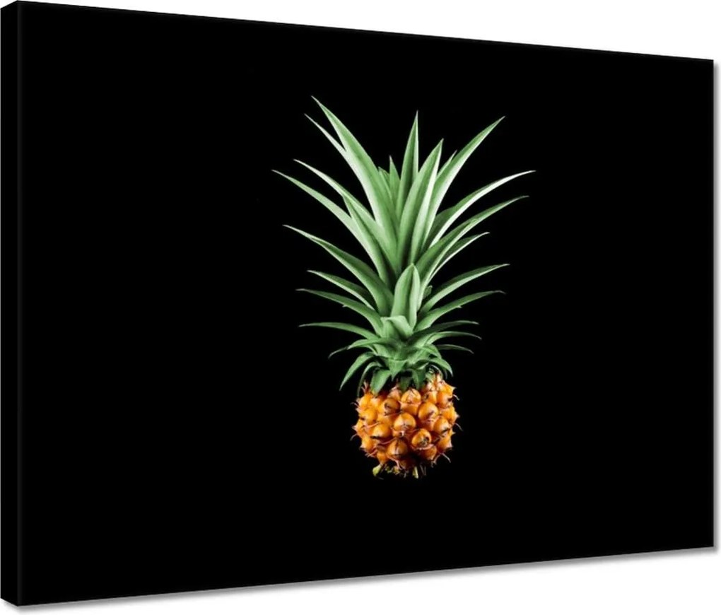 Vászonkép 40x30 Ananász