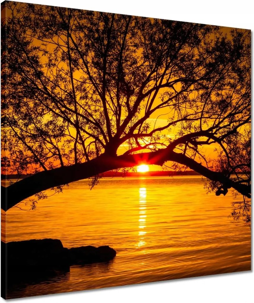 Vászonkép 50x50 Tengerpart Fa Tenger