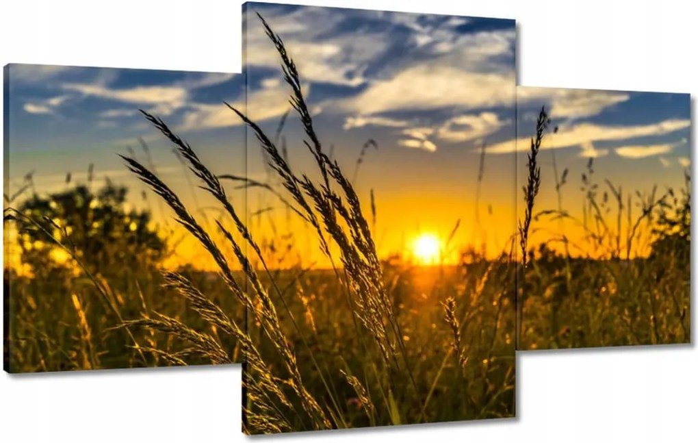 Vászonkép 100x60 Naplemente a füvek között