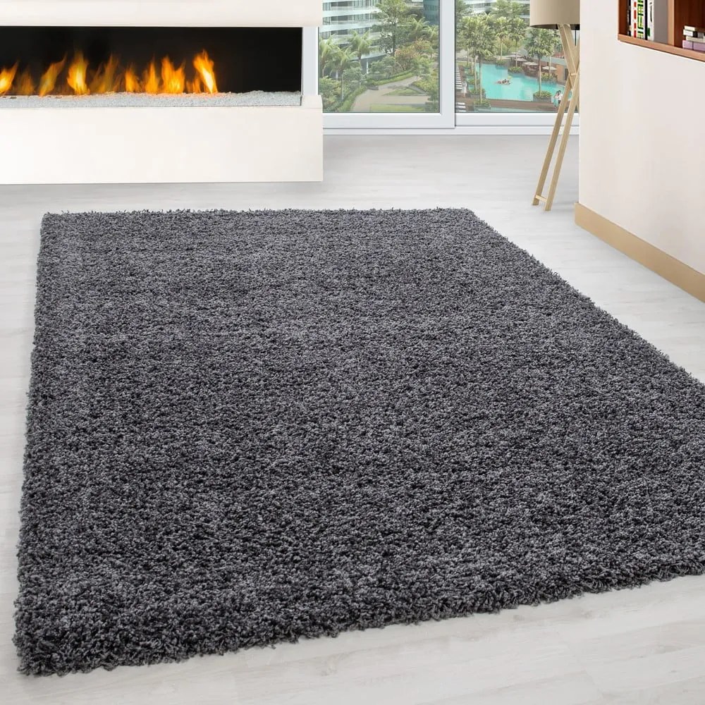 Sötétszürke szőnyeg 80x150 cm Life – Ayyildiz Carpets