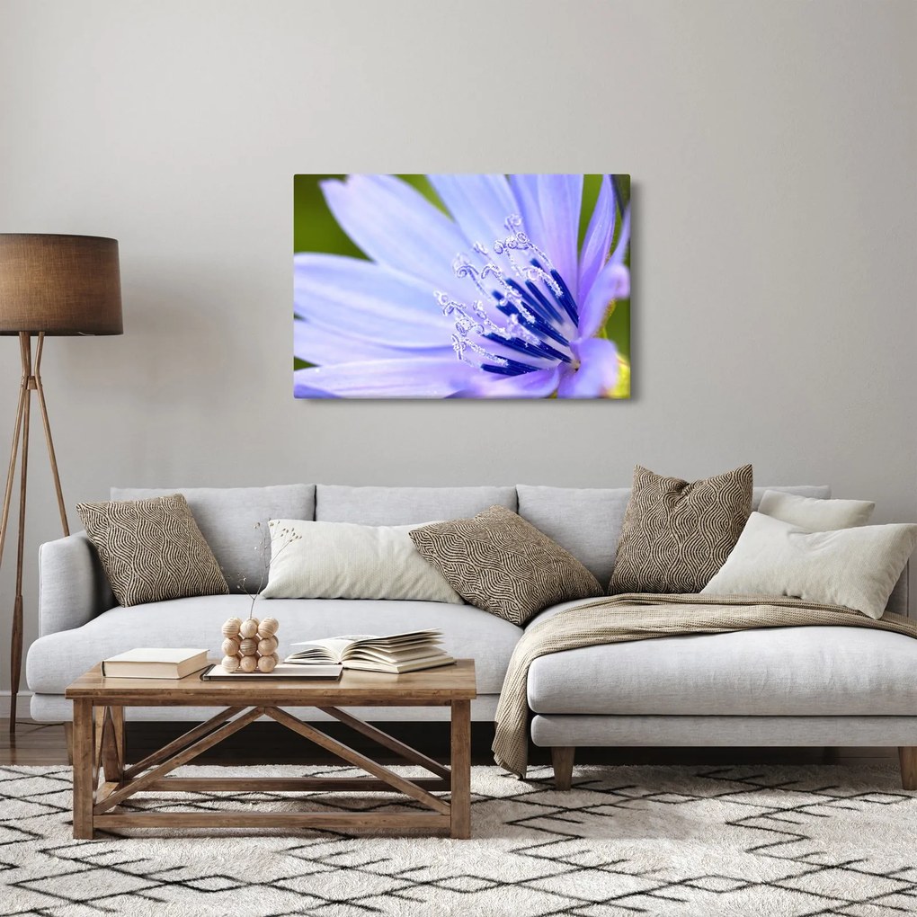 Kép - Virág (90x60 cm)