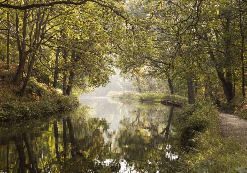 Poszter 66,5x46,5cm Basingstoke csatorna 2, Assaf Frank