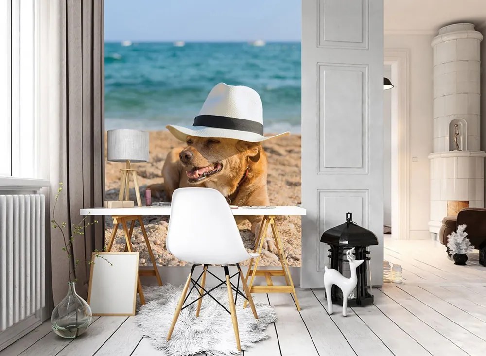 Kalapos kutya poszter, fotótapéta, Vlies (206x275 cm, álló)