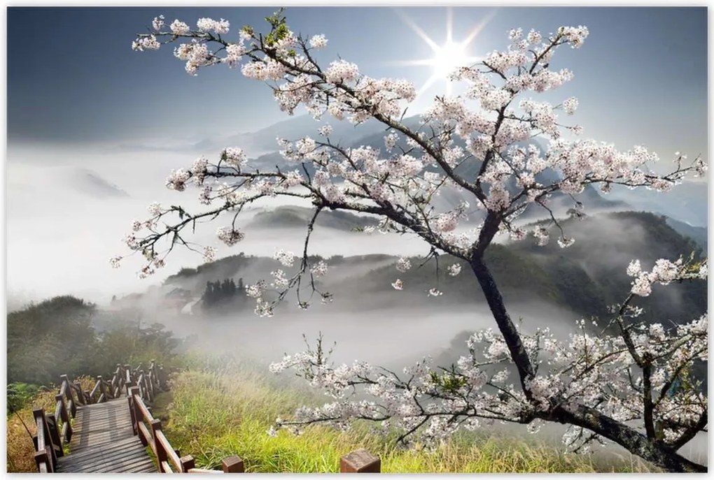 Poszterek 120x80 Japán Virágzó cseresznye