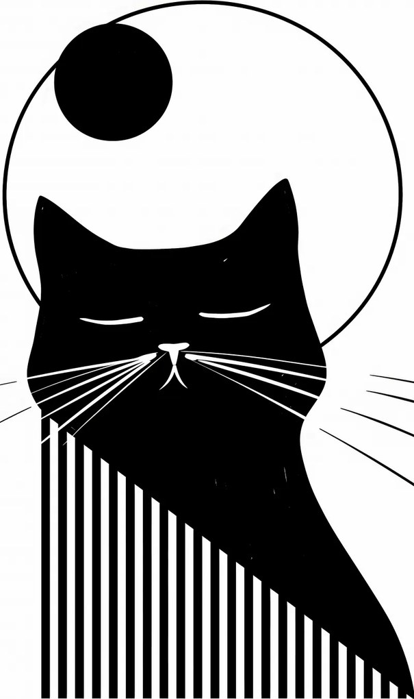 Poszter 50x100cm Éjszakai vibráló doromboló