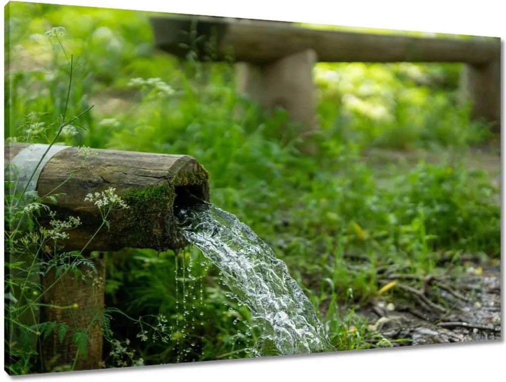 Vászonkép 90x60 Tájkép Látvány