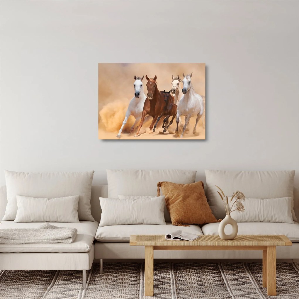 Üveg kép - Lócsorda (70x50 cm)