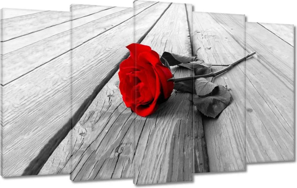 Vászonkép 100x60 Vörös rózsa a fán