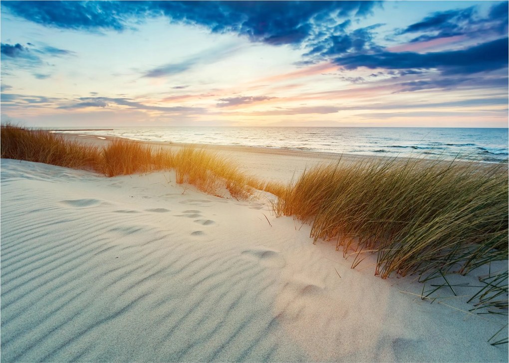 Fotótapéta Tengerpart Dűnék Hálószoba Nappali Fali Tapéta 250x175