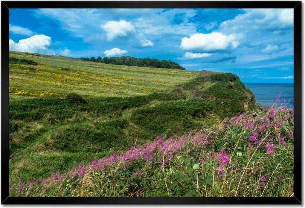Poszterek keretben 60x40 Virágos rét a tengerparton