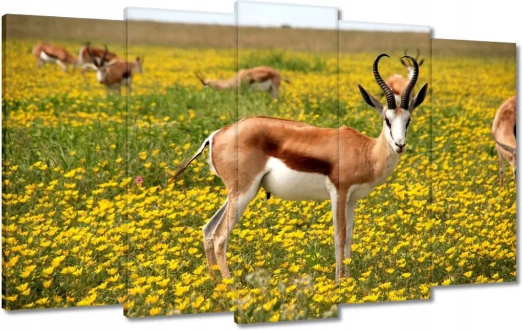 Vászonkép 100x60 Antilop a virágok között