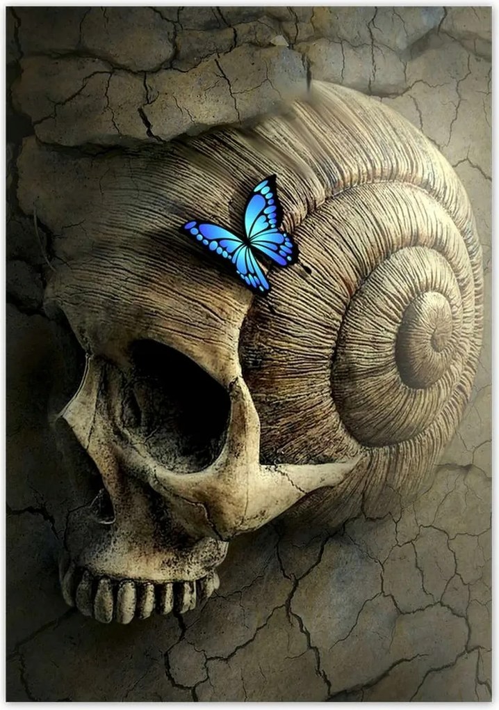 Poszter 70x100 Pillangó mintás kék