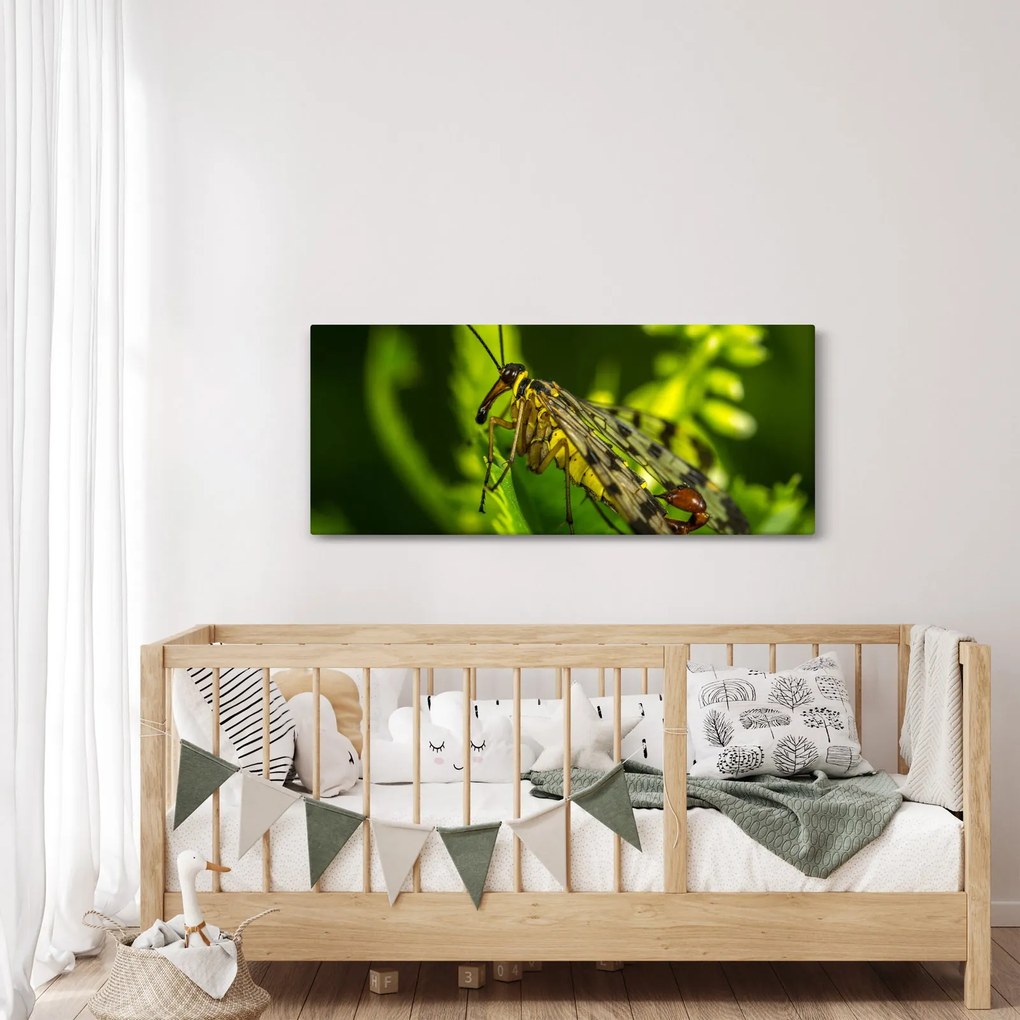 Rovar képe (120x50 cm)