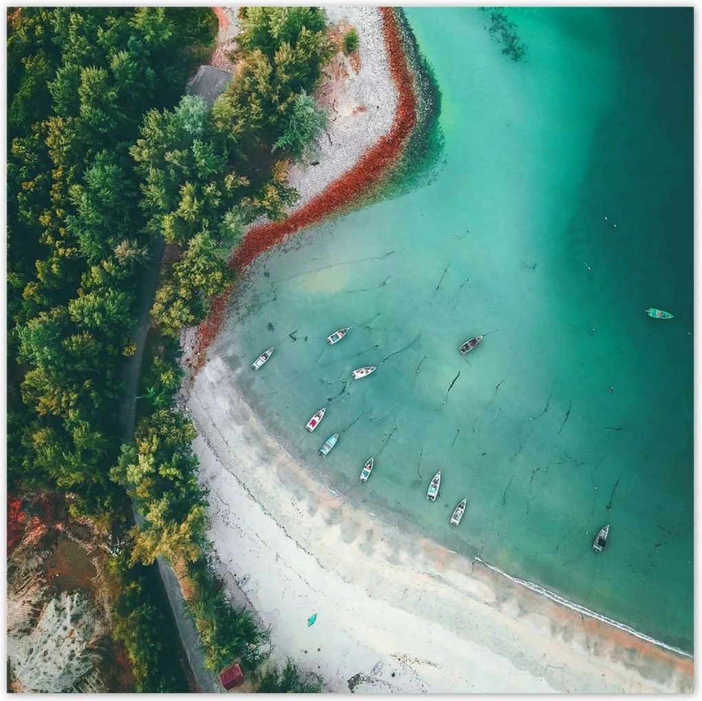 Poszterek 100x100 Trópusi pálmafák szigete