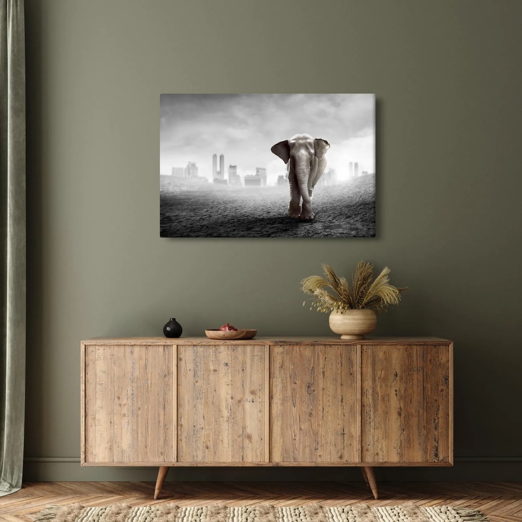 Kép -Elefánt egy nagyvárosban, fekete-fehér változat (90x60 cm)