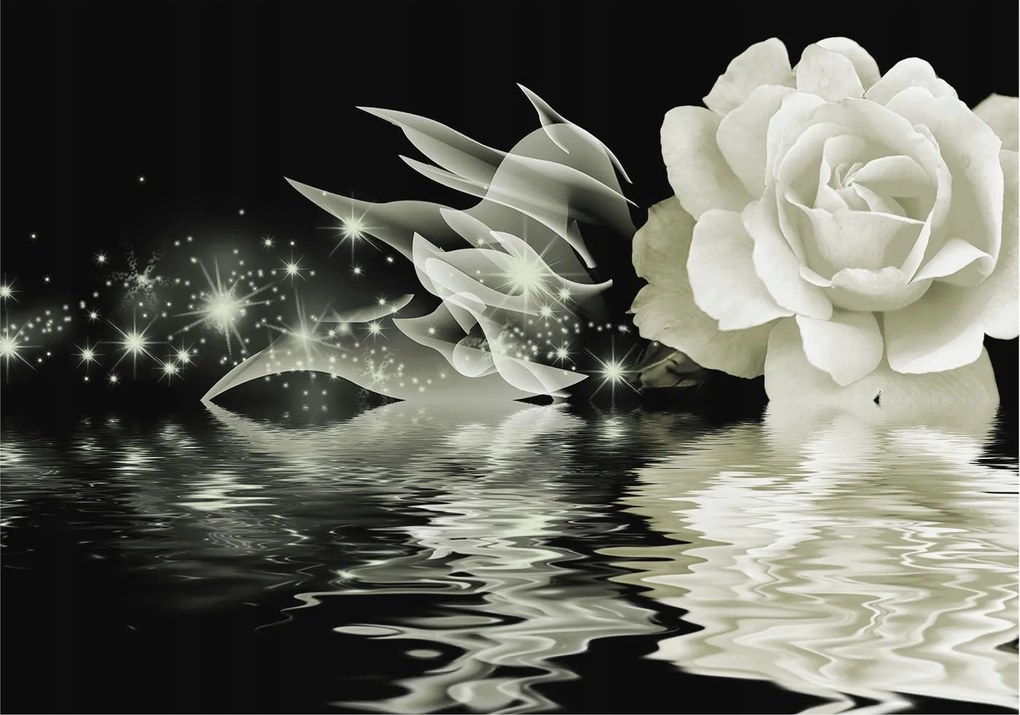 Fotótapéta Flizelin Fali Ragasztó Szett Fényes rózsa 208x146 Ragasztó