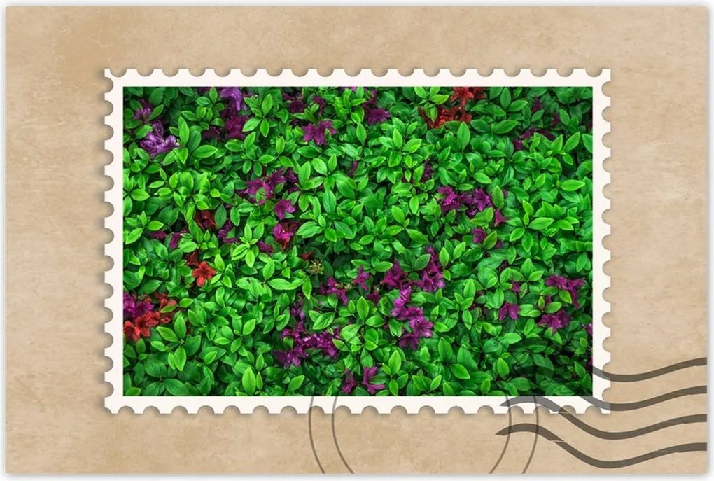 Poszterek 120x80 Kerti azálea