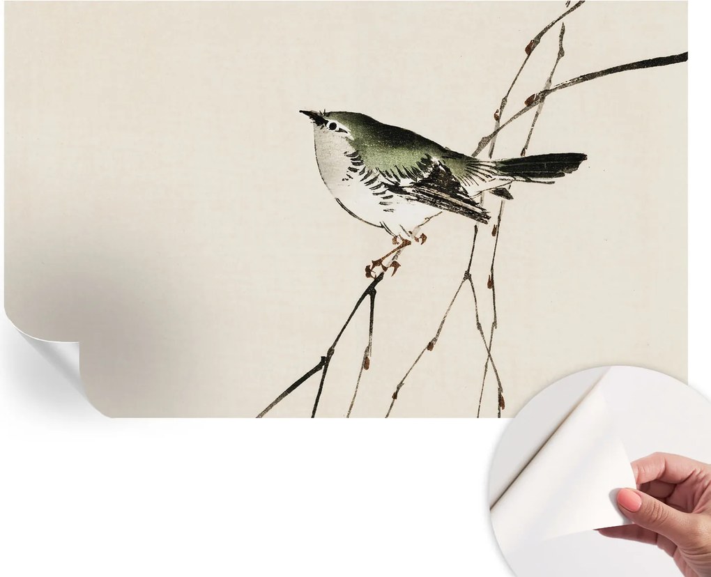 Öntapadós Dekoratív Fotótapéta Hálószobába Harmonikus madár 416x254 cm