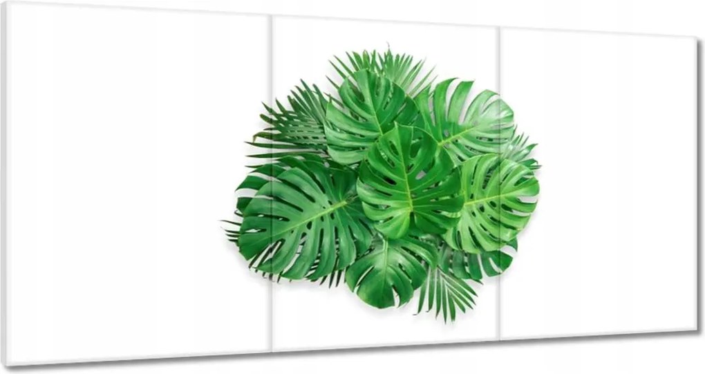 Vászonkép 180x90 Monstera Lyukas levelek