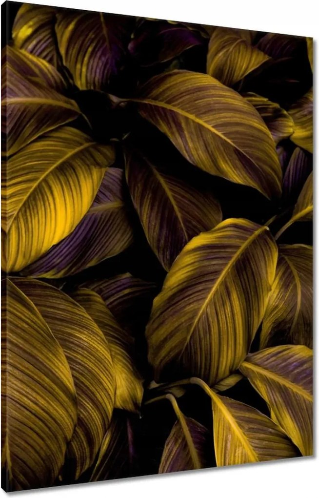 Vászonkép 60x80 Gyönyörű mézszínű levelek