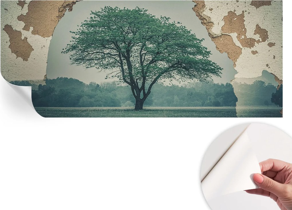Modern öntapadós fotótapéta falra Magányos fa 250x104 cm