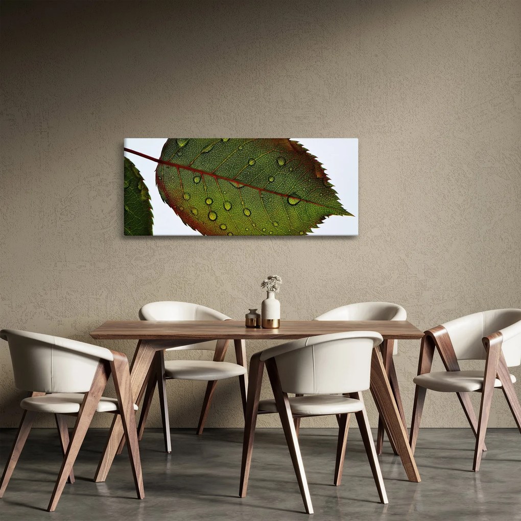 Kép - Rózsalevél (120x50 cm)