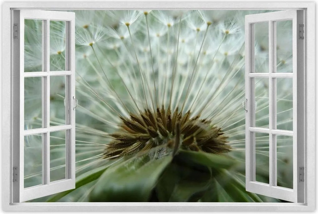 Poszterek 120x80 Pitypang Virág Virágok