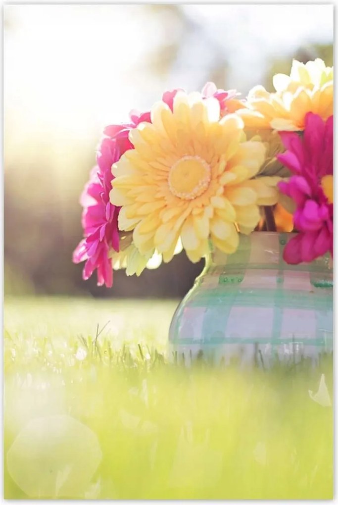 Poszterek 80x120 Virágcsokor a réten