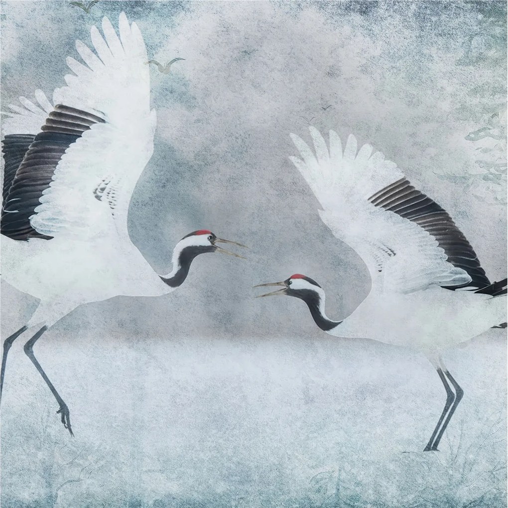 Fotótapéta Flizelin az Otthon szobájába 3D Harmonikus daruk 250x250 Ragasztó