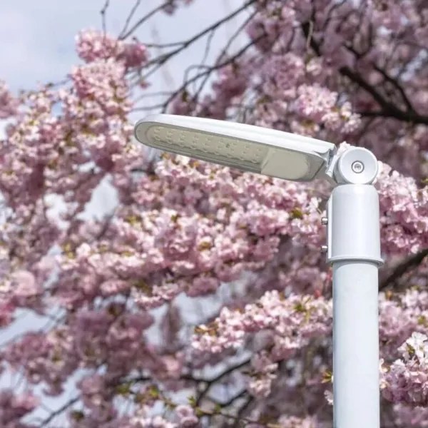 LED Utcai világítás SOLIS LED/30W/230V 3000K IP65