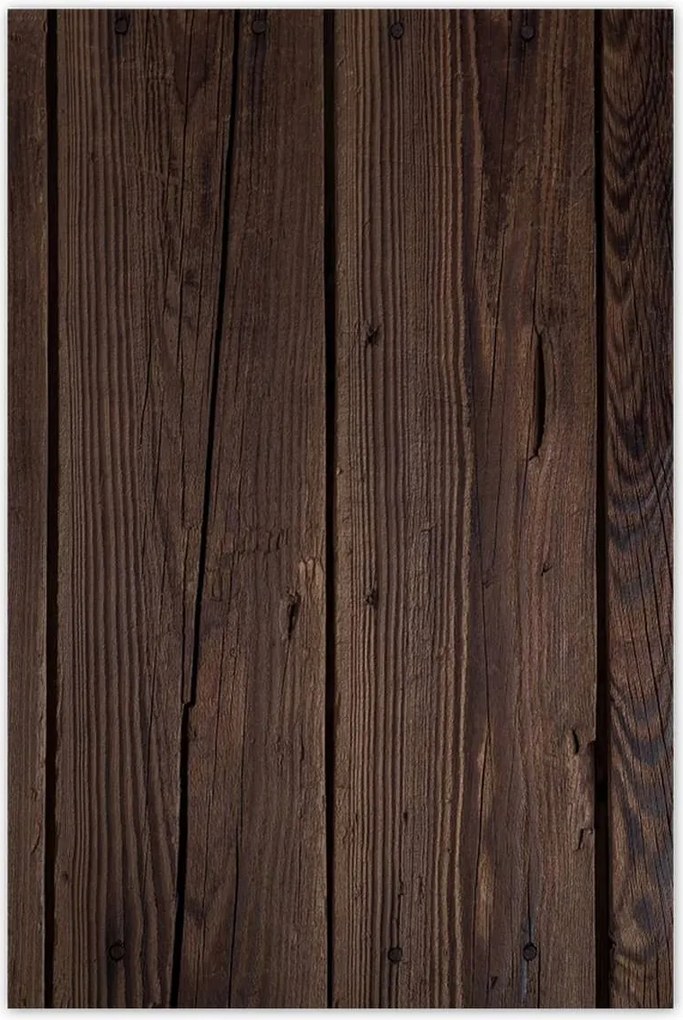 Poszterek 80x120 Fa világ Fa