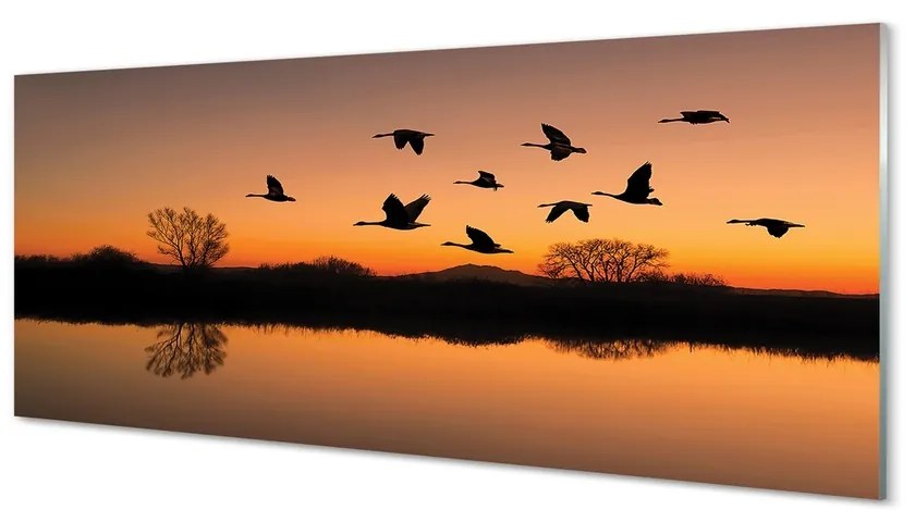 Üvegképek Repülő madarak naplemente 120x60cm