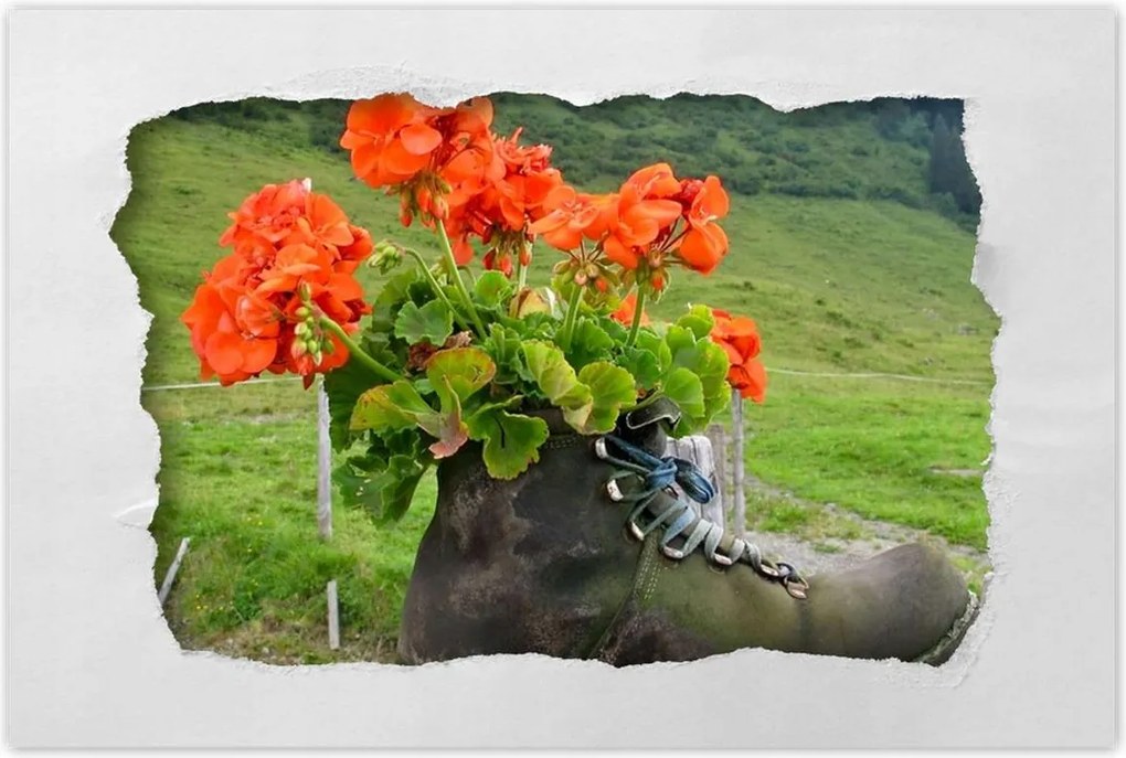 Poszterek 60x40 Virág a csizmában