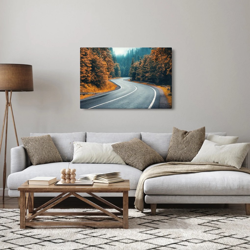 Kép - Kanyargós út (90x60 cm)