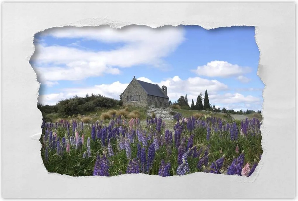 Poszterek 120x80 Lila virágok domb