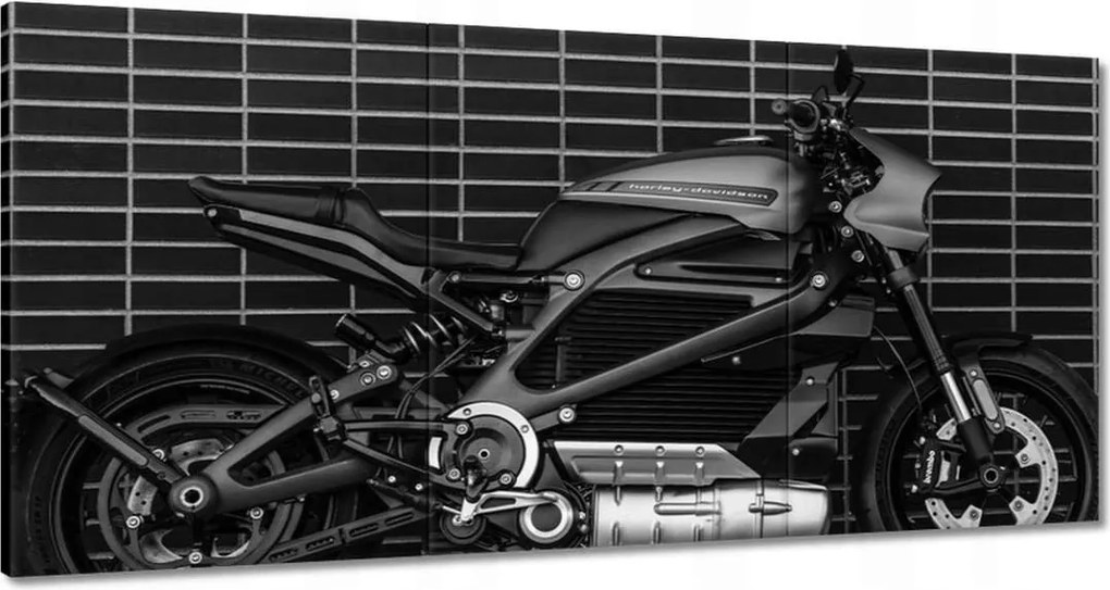 Képek 180x90 Harley Davidson Motorkerékpár