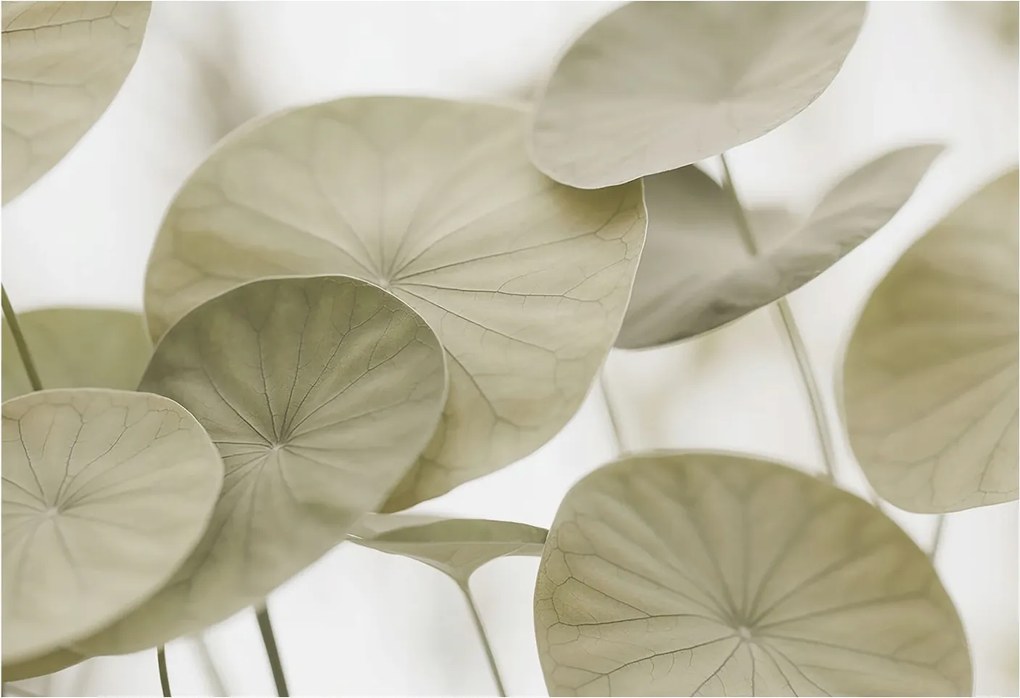 Fotótapéta Fali tapéta Hálószoba Nappali Természetes elegancia 152x104