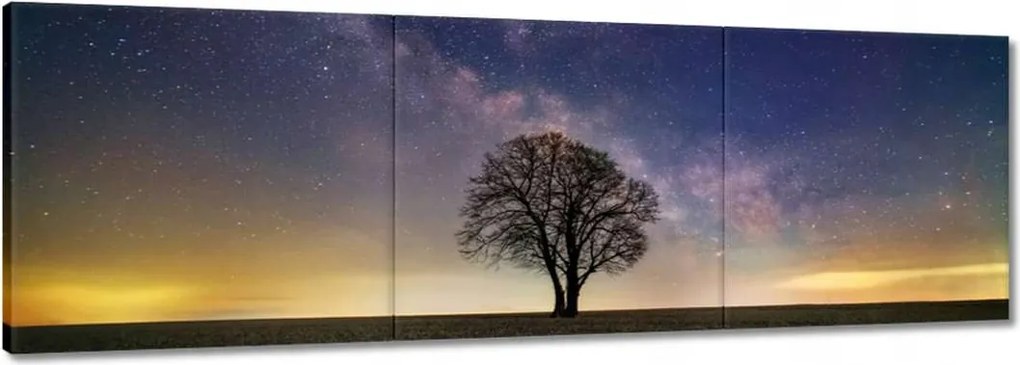 Vászonkép 150x50 Magányos fa és csillagok