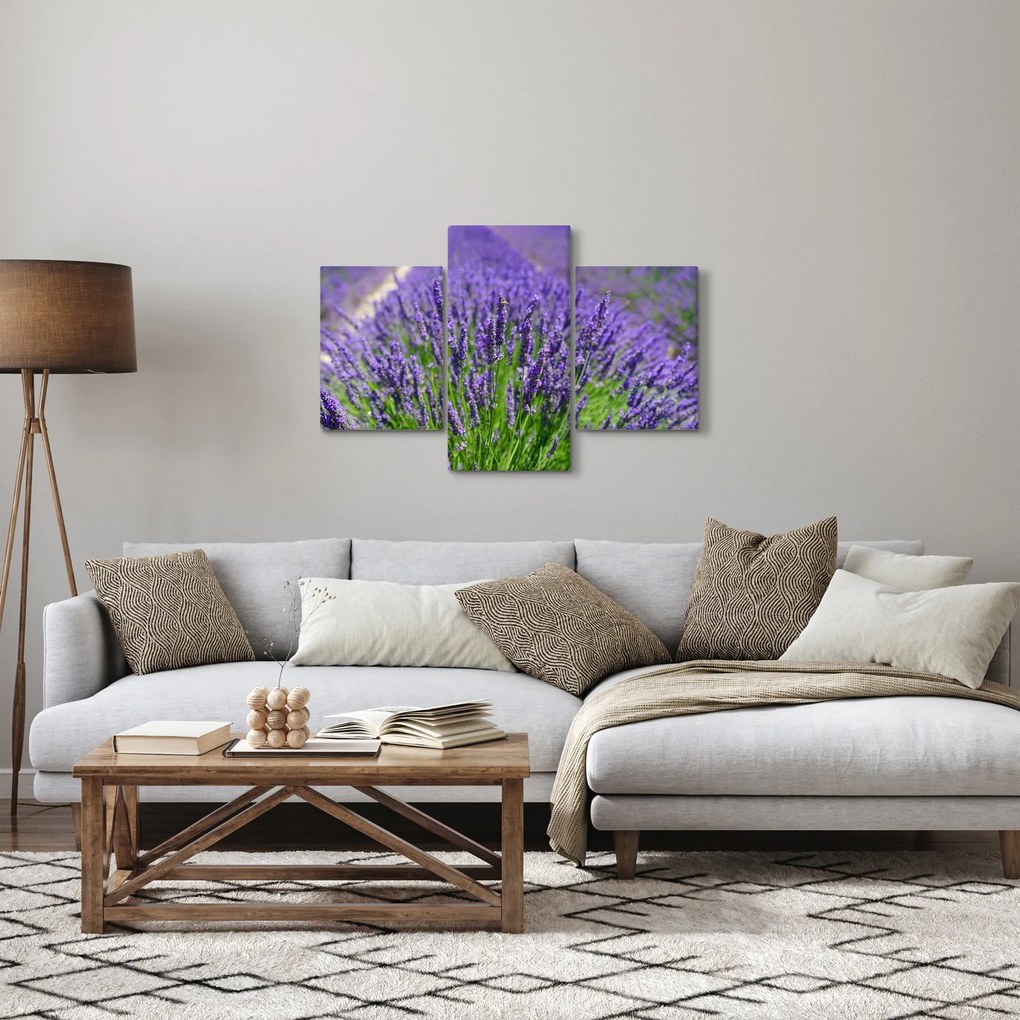 Kép - levandula (90x60 cm)