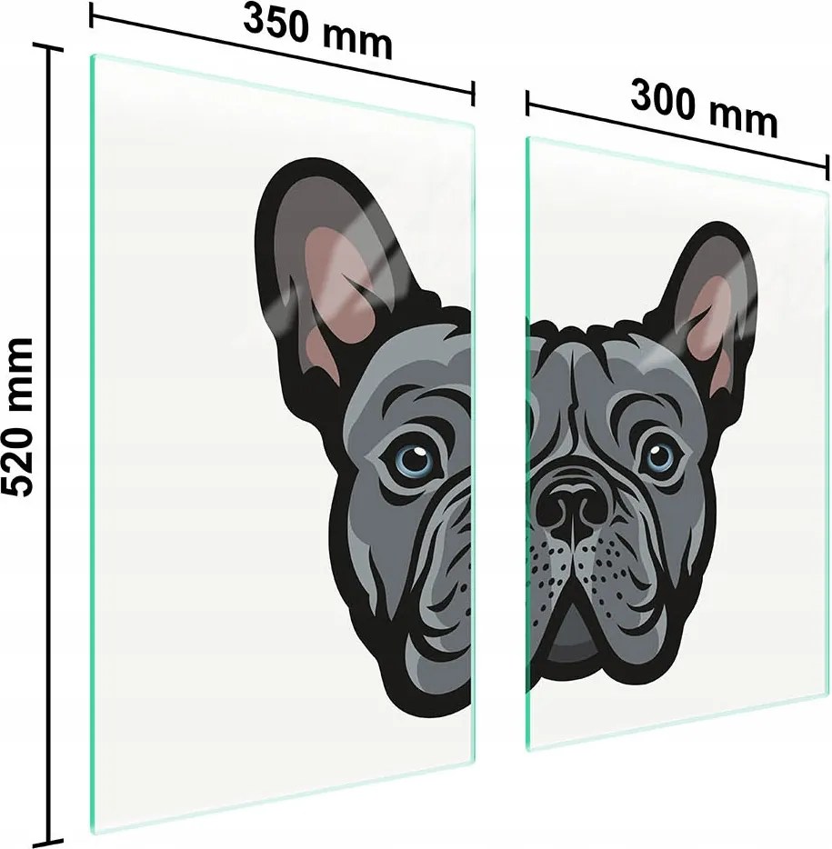Üveg Konyhai Védőlap 65x52 Kutya