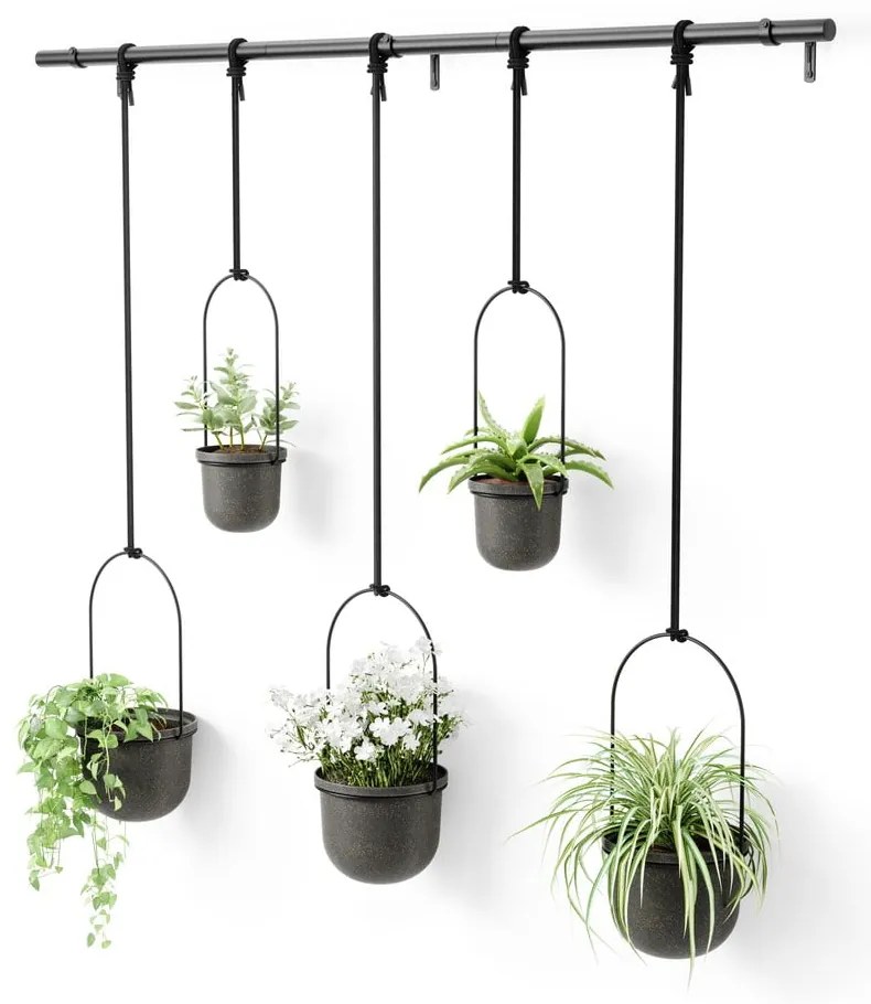 Műanyag kaspó szett 5 db-os fűszernövényekhez -függő ø 7,5 cm Triflora – Umbra