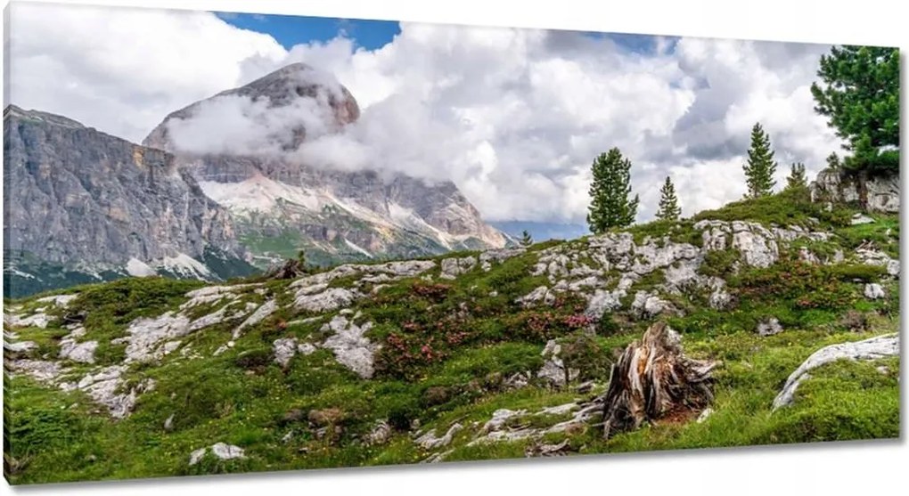 Képek 115x55 Bárány a hegyekben Kilátás