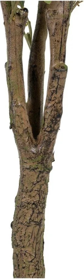 Eukaliptusz műnövény (magasság 173 cm) Eucalyptus – Ixia