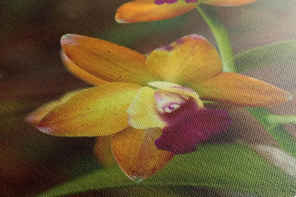 Kép narancssárga orchidea