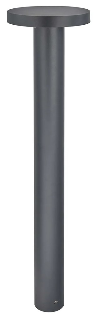 Borg
