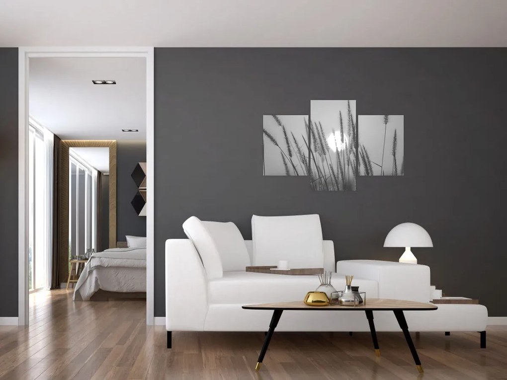 Kép - Mező naplementében (90x60 cm)